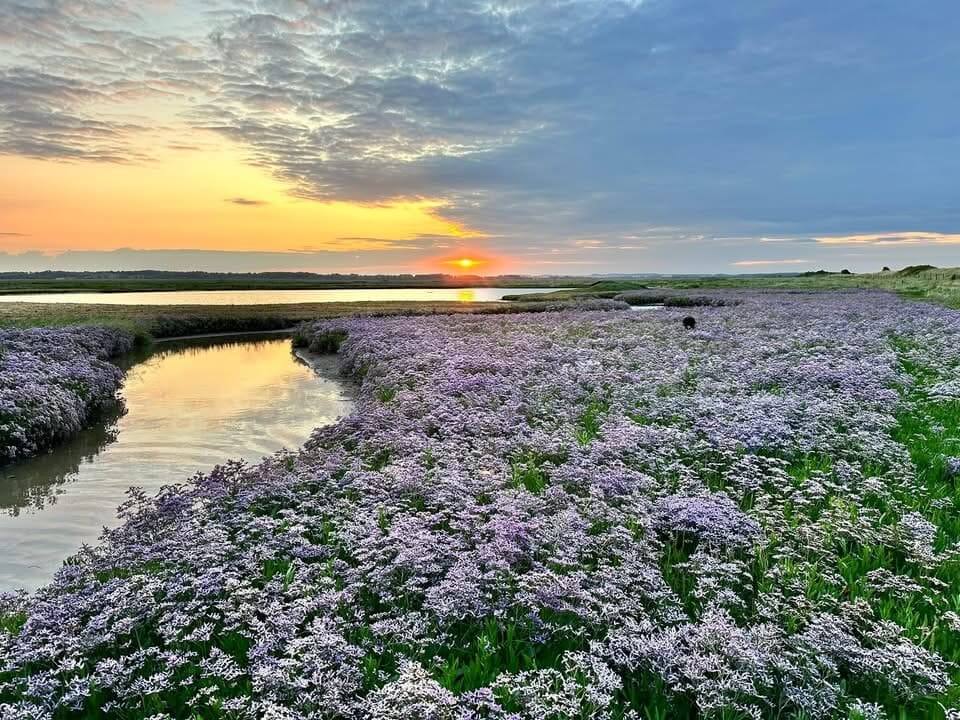 Fort Mahon Plage Tourisme