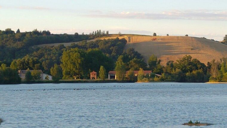 Le Domaine des Oiseaux, un havre de nature tout près de Toulouse !