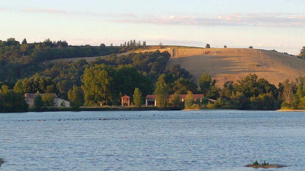 Le Domaine des Oiseaux, un havre de nature tout près de Toulouse !