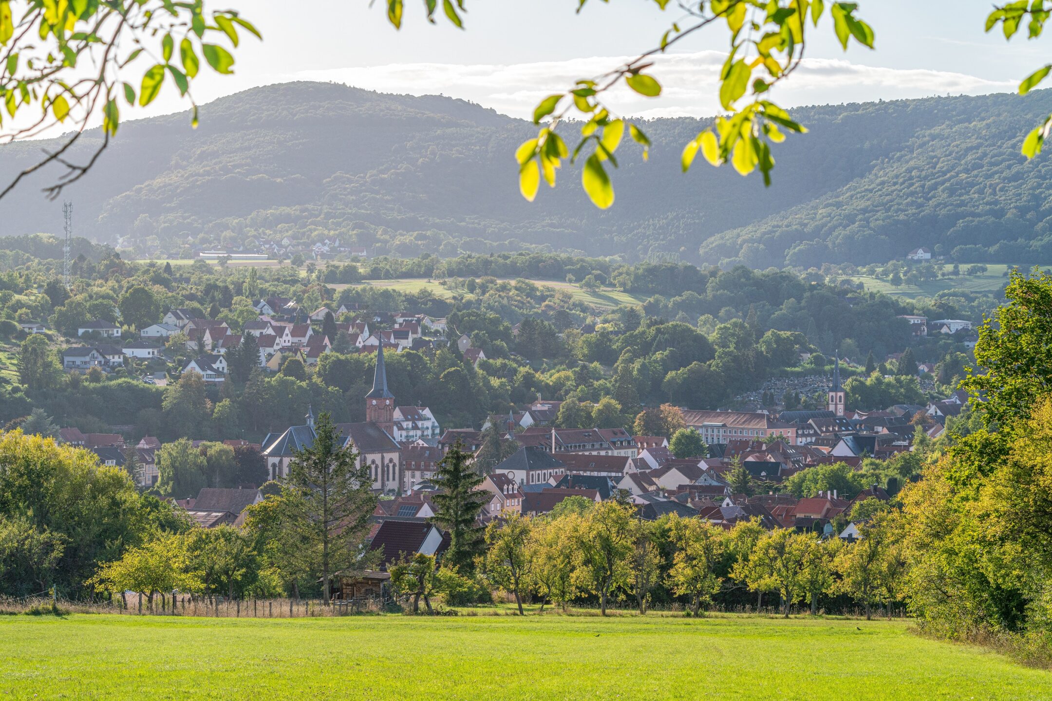 Vue générale sur la cité thermale de Niederbronn-les-Bains