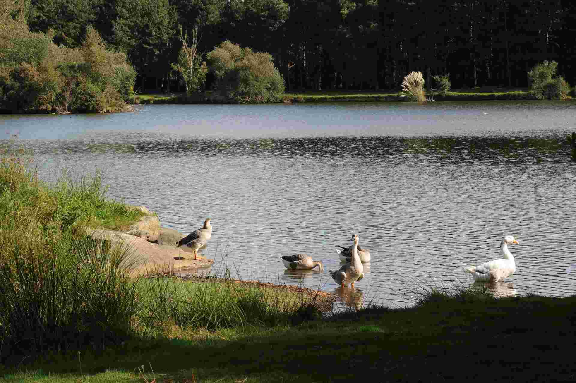 Étang et base de loisirs de Réguiny