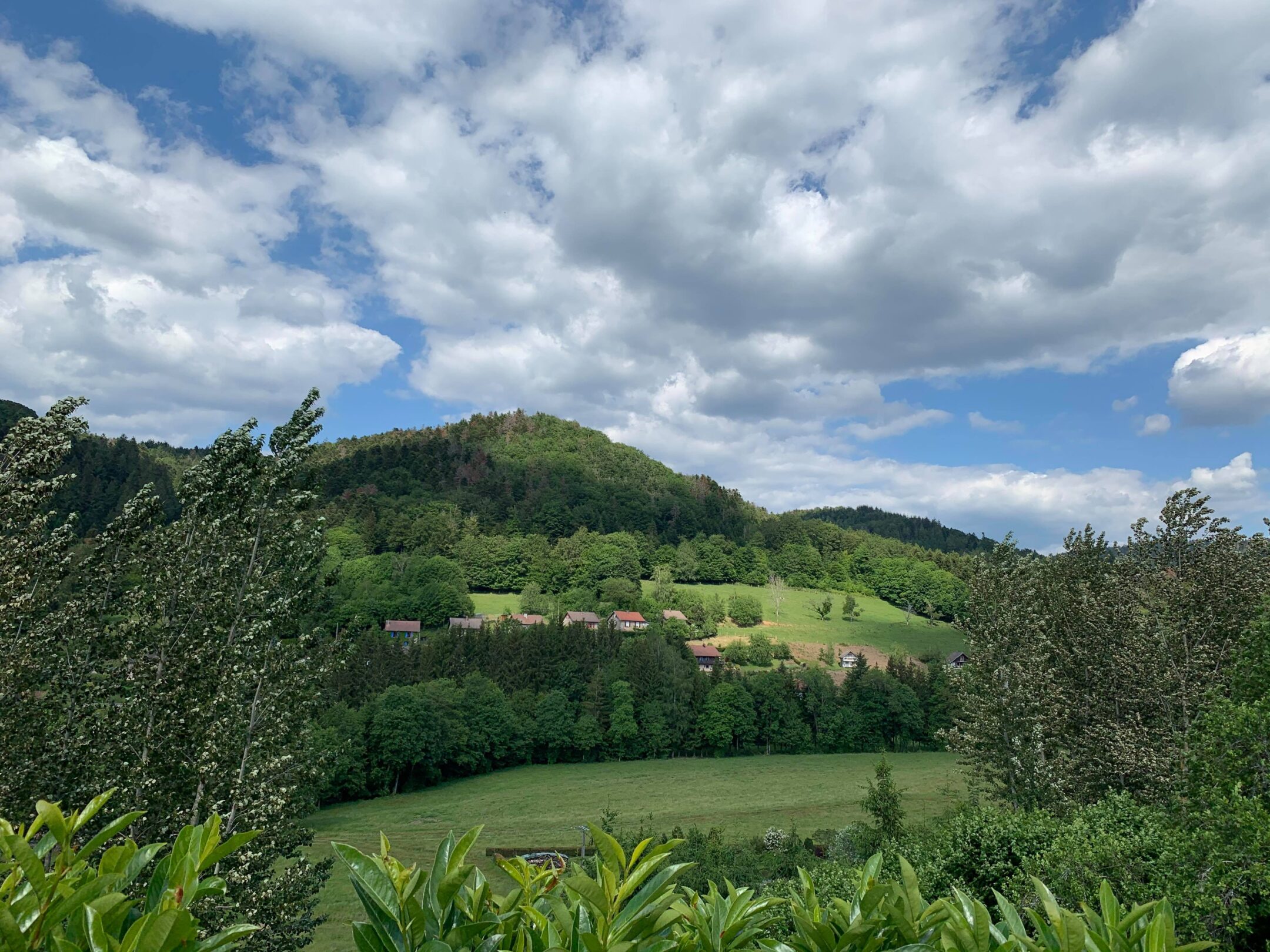 Vue sur le Val d'Ajol depuis Hamanxard