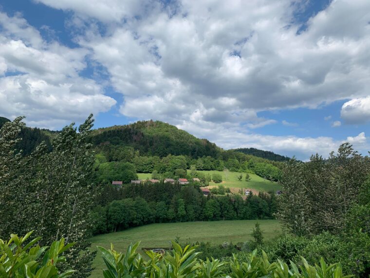 Vue sur le Val d'Ajol depuis Hamanxard