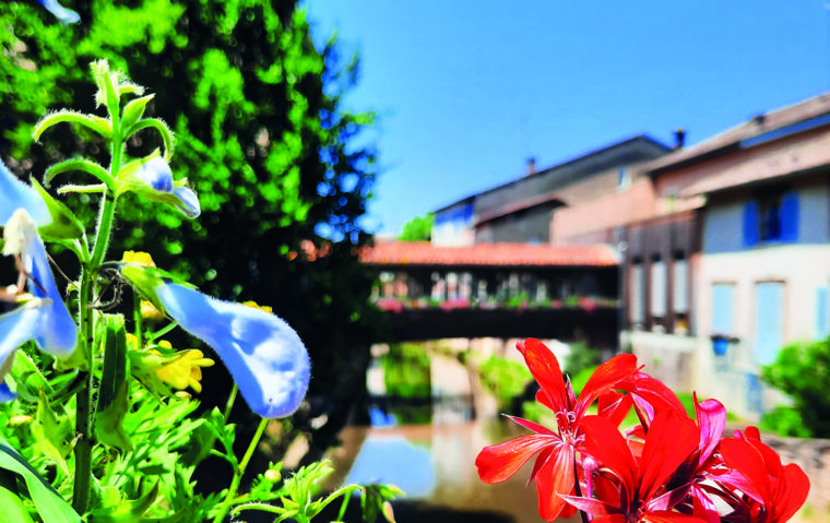 La Petite Venise de la Dombes