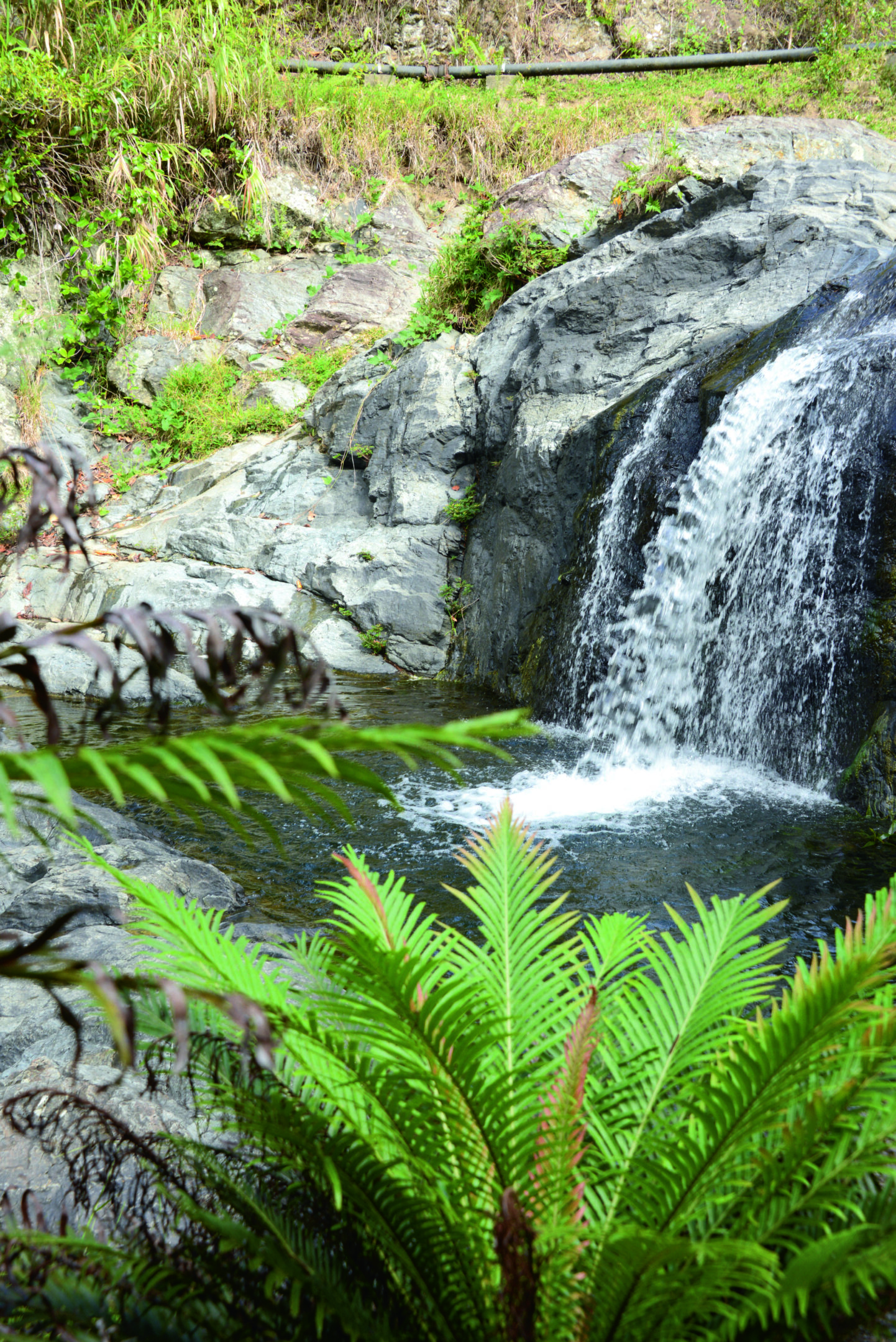 La cascade- Sentier de la Petite Cascade