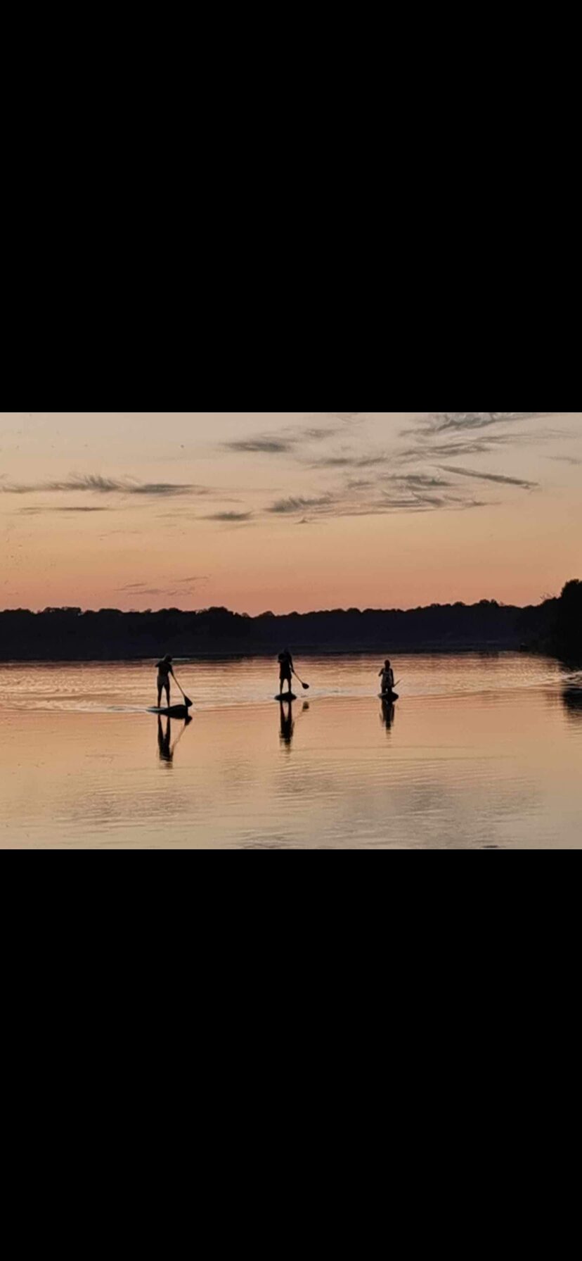 La nature : un remède pour le corps et l'esprit