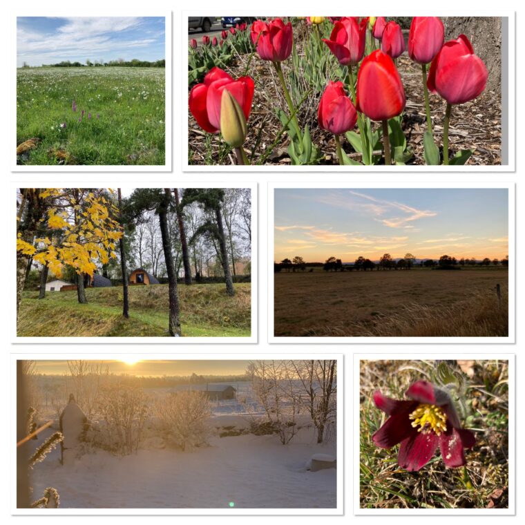 paysages neuveglise-sur-Truyère