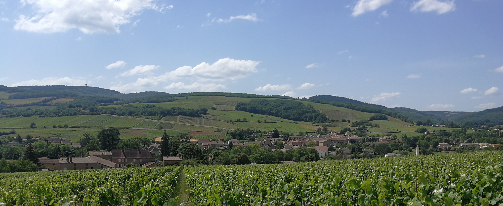 Vue ensoleillée de notre beau village