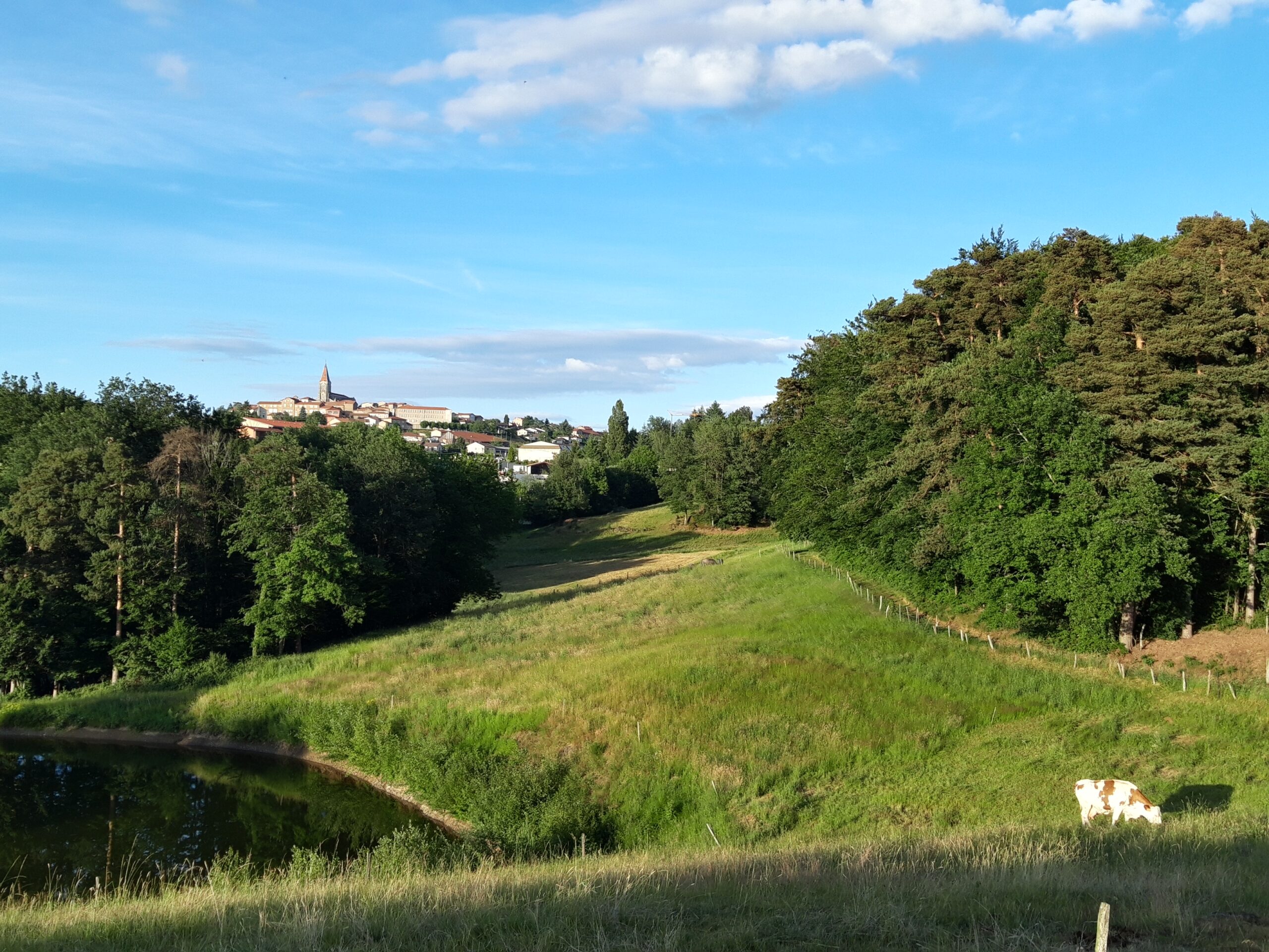 Vue sur le village depuis les prés