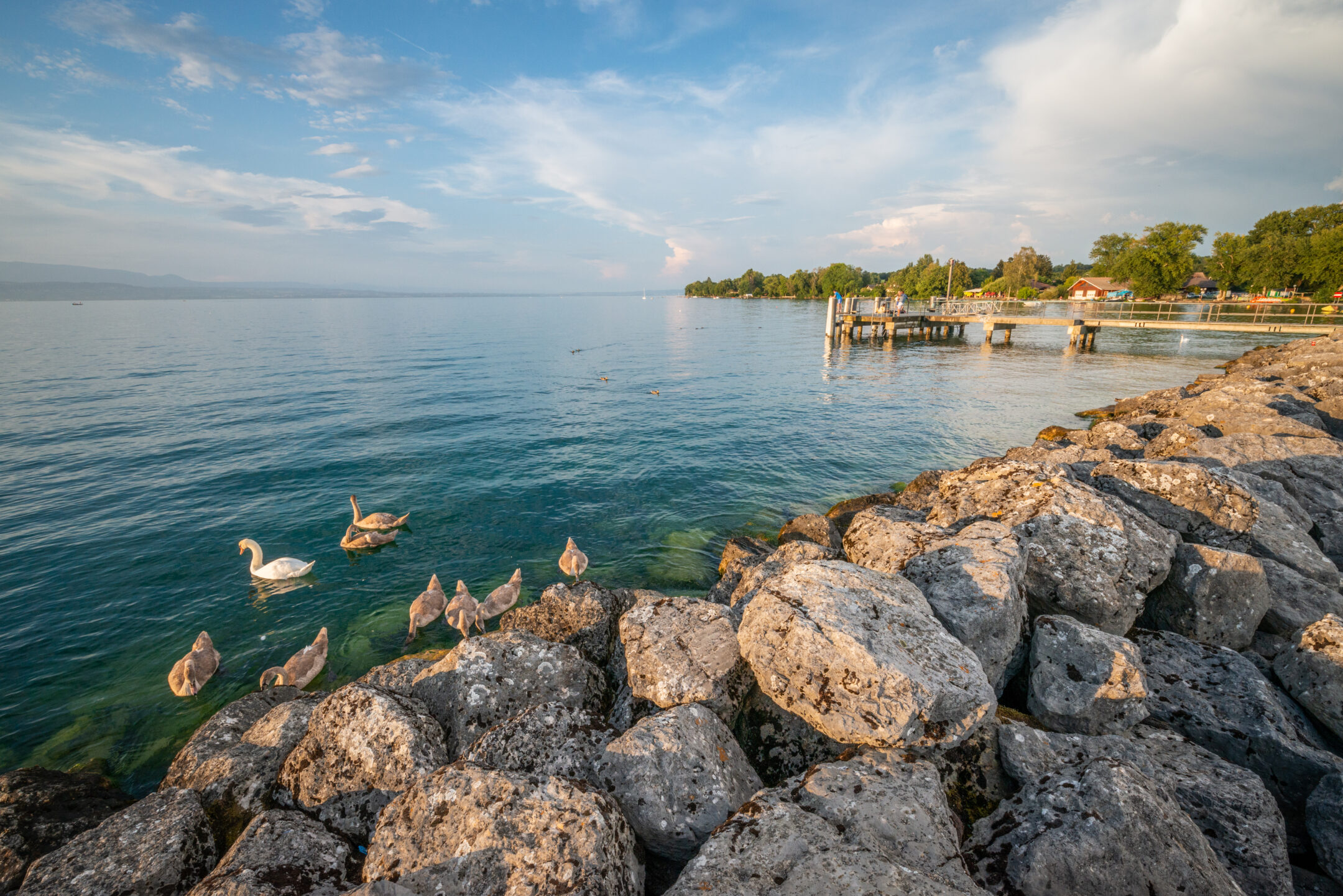 Plage de Sciez sur Léman