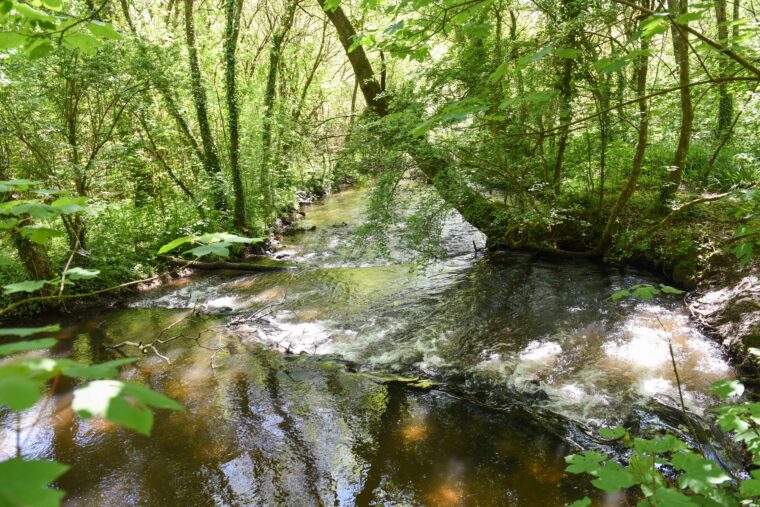 Rivière au bord du chemin de randonnée