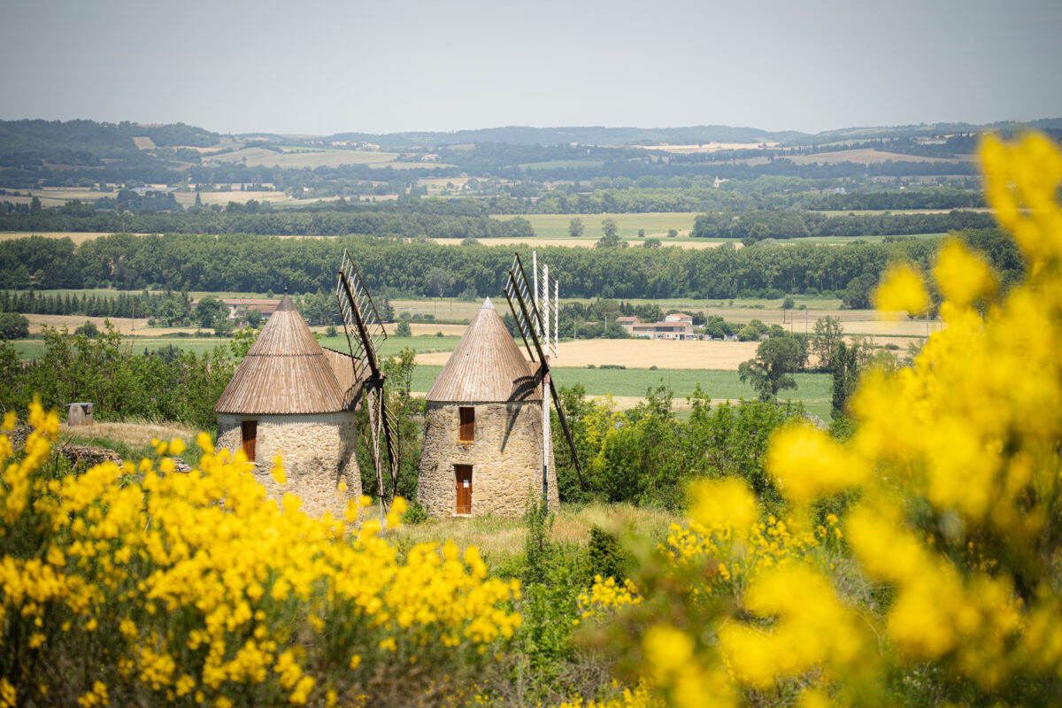 Les moulins de Laffon surplombe la plaine du Lauragais