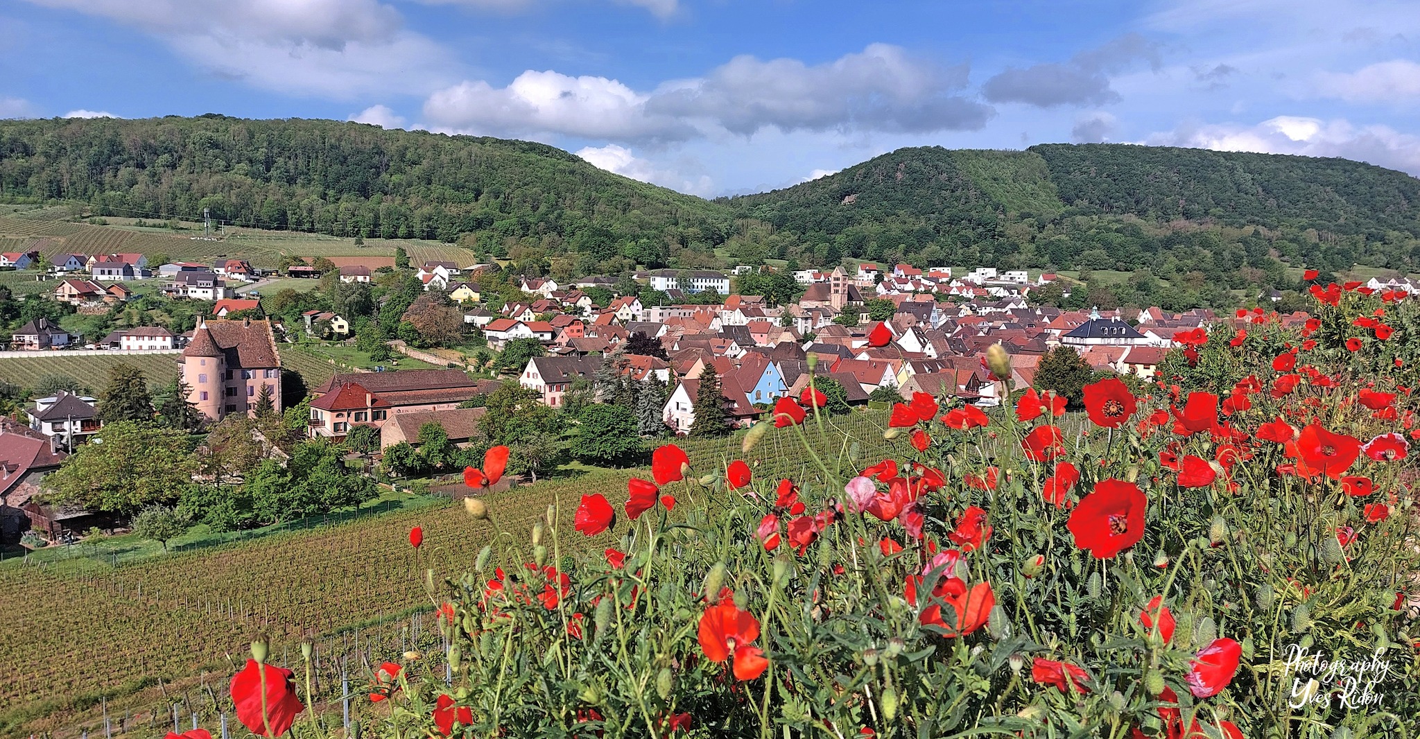 Vue sur Soultzmatt depuis le Zinnkoepflé