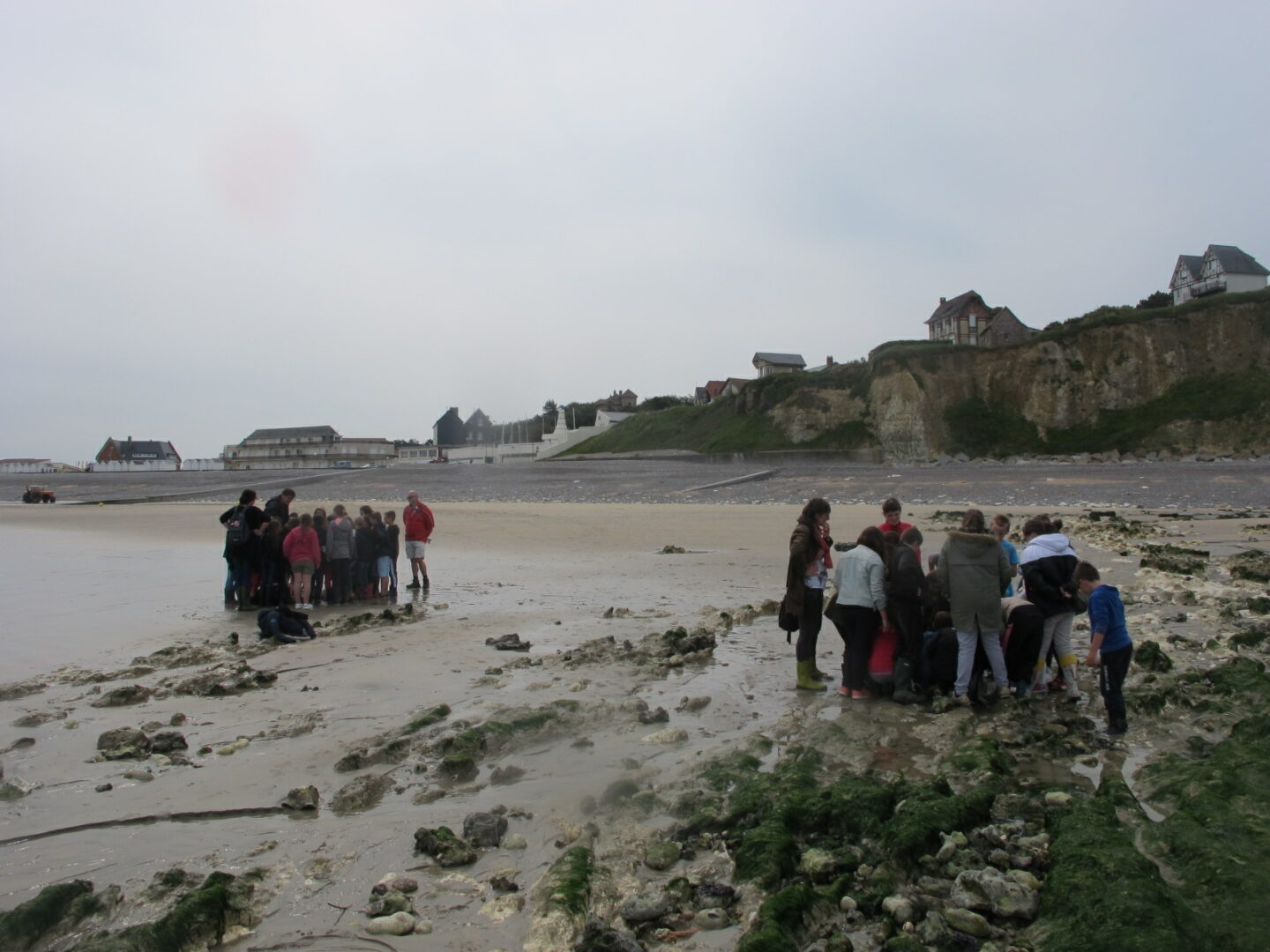 découverte du littoral à marée basse