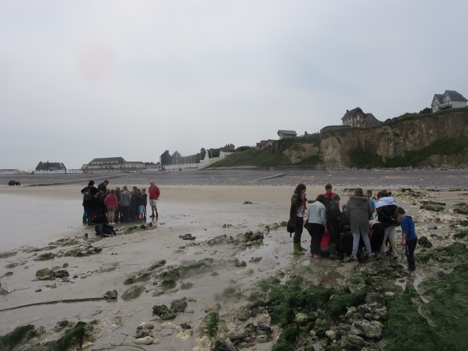 découverte du littoral à marée basse