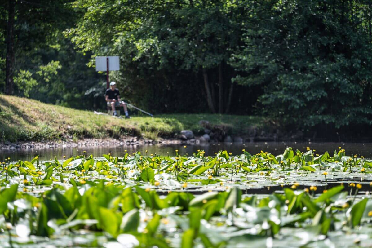 Parcours pêche en famille à Bussang